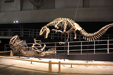 Yutyrannus huali