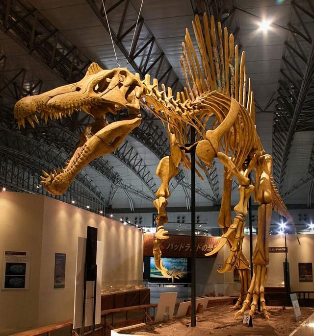 Read more about the article Spinosaurus aegypteacus